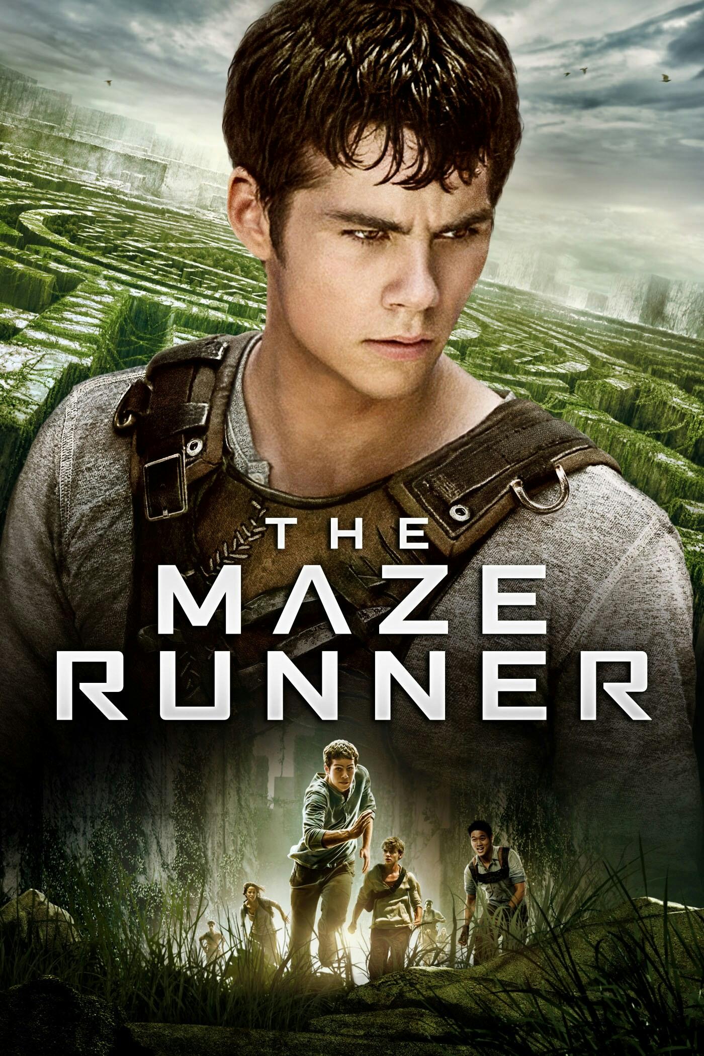 The Maze Runner - Giải mã mê cung | Lyrics song ngữ | CapyLearn